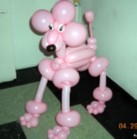 Balloon Twisters in NY - Balloon Animals New York